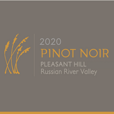 2020 Pinot Noir, 'Pleasant Hill', Russian River Magnum 1